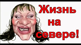 СЕВЕРНАЯ ОГЛОБЛЯ. Жизнь на севере!