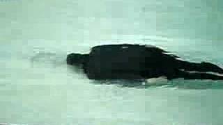 25 meter DNF on 1 armstroke + 1 legstroke
