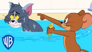 Tom y Jerry en Español | El problema de la garrapata de Tom
