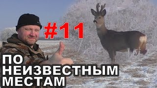 #11. Видео-Охота на косулю и лису. 3 марта 2018г.