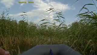 20140706 164609 0,7 карпёнок