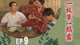 一枝草一點露 EP9