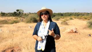 Jurassic Park of India