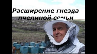 Расширение гнезда пчелиной семьи весной.