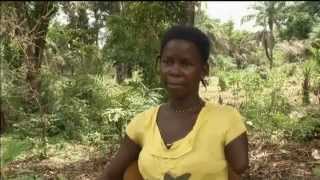 Sierra Leone AE amputees