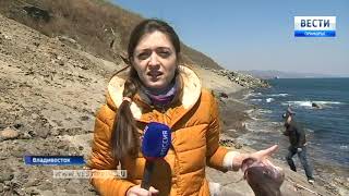 «Вести: Приморье. События недели» от 29 апреля 2018 года