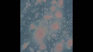Seventeen Years - Trash Flower