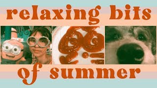 ?Relaxing Bits of Summer ⁄⁄CatCreature