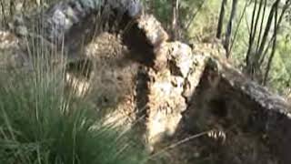 CITTA' PERDUTE - BARONIA DI ROCCA ANGITOLA  2005 parte 1°
