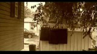 Professional Film Quality Test
