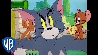 Tom y Jerry en Latino | Cómo atrapar un ratón | WB Kids