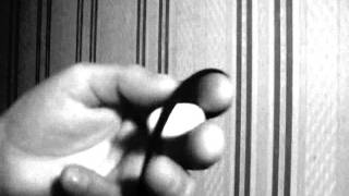 Begleri