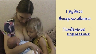 Грудное вскармливание  Тандемное кормление#2017