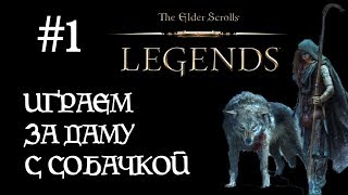 TES The Elder Scrolls: Legends (Прохождение #1) - Играем за даму с собачкой