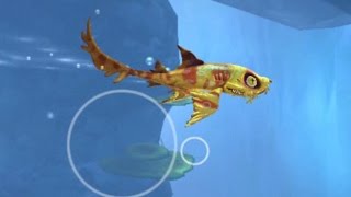Ковровая акула (воббегонг) Hungry Shark World Heidi (wobbegong)