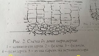 [Решения] Принтер плохо печатает рисунки через Word