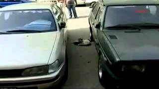 Самое трогательное видео, которое я видела!