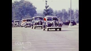 KTLA News: "Lowrider cars" (1979)