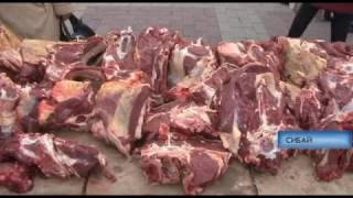 Бруцеллез КРС- опасаться ли сибайцам?