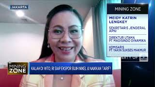 Menang atau Kalah di WTO, Nikel RI Tetap Jadi Pemain Dunia