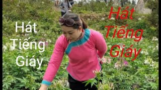 Hát Tiếng Giáy. Nuông xã co. TTBXLC. X