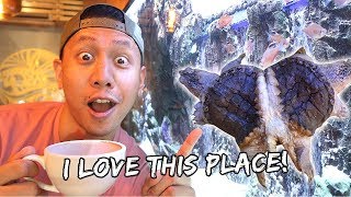 Awesome Aquarium Cafe In Manila | Vlog #742