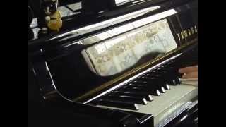 DESPERADE(デスペラード/ならず者）　piano&Honky tonk(cover)