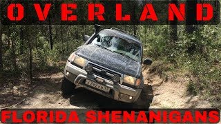 Overland Florida 4Runner 4x4 Citrus Wildlife Management Area WMA Off-Road 2017