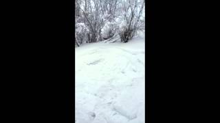 Мой фильм 1