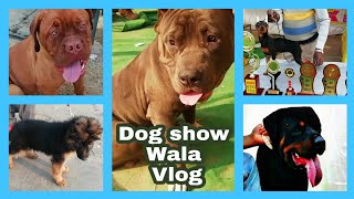Dog show WaLa vlog