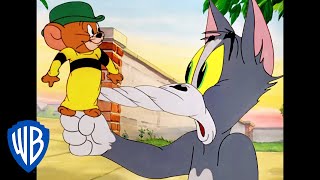 Tom y Jerry en Latino | ¿Truco o Truco? | WB Kids