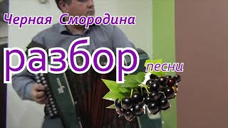 Черная Смородина разбор песни
