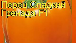 Перец сладкий Гренада F1. Краткий обзор, описание характеристик, где купить семена cápsicum ánnuum