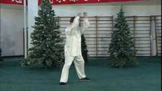 Hunyuan Taijiquan 24