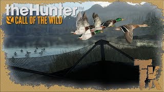 The Hunter Call of the Wild ★DLC Duck and Cover Pack ★ЛетятЬ Утки и два Гуся-а-а!
