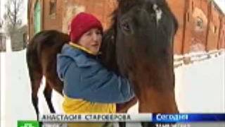 ORLOV'S TROTTING Новотомниковский к з