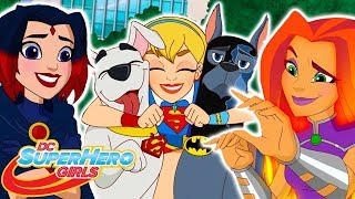 ? Every Season 4 Episode EVER! ✨| DC Super Hero Girls