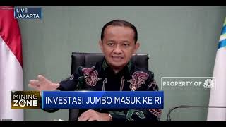 Progres Investasi Baterai LG, Smelter Dibangun di Maluku Utara