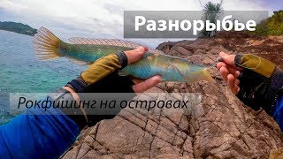 Остров Hòn Miễu, Вьетнам. Рокфишевое разнорыбье, микроджиг. 2017/07.