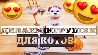 DIY Простые игрушки для котят своими руками || Билли бой счастлив!