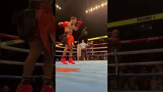 Knockout of the Year?
