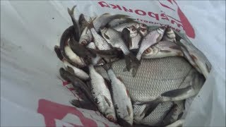 Рыбалка на речке БЕРЁЗОВКА.Воскресенский район.