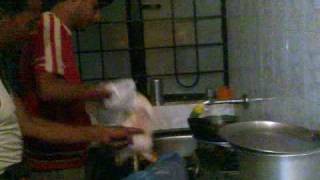 Chicken Slaughter