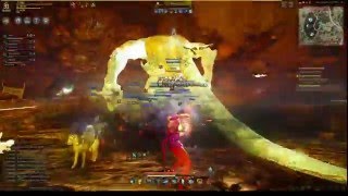 BDO Guild Boss - Enigma Gaming
