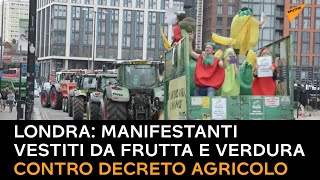 Londra: manifestanti vestiti da frutta e verdura contro decreto agricolo