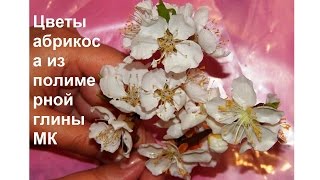 Цветы абрикоса из полимерной глины МК Flowers of apricot from polymer clay MK