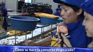 CÓMO SE HACE LA CONSERVA i