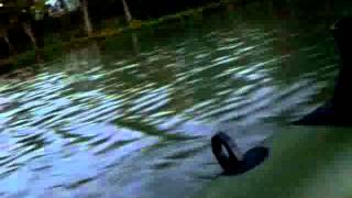 "aqua marina wildriver" inflatable boat