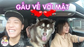 NTN Vlog gả Gấu cho Mật Pet làm thông gia - Hành trình đầy gian nan