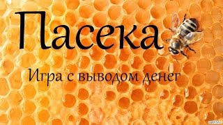 Игра с выводом денег Пасека